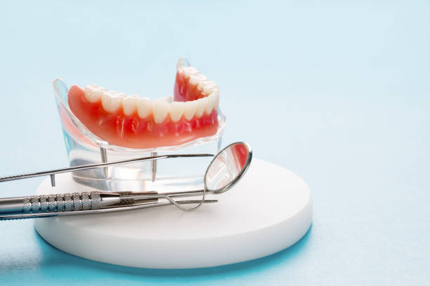 Best Preventive Dentistry  in Fiskdale, MA